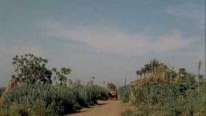 Trop tôt, trop tard — foto 2
