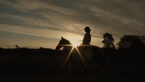 Toxteth Cowboy — foto 1