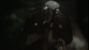 Hoist — foto 1