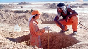 El misterio de los excavadores — foto 4