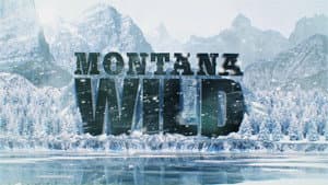 Montana Wild — foto 2