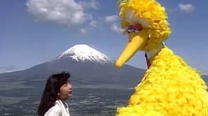 Big Bird in Japan — foto 1