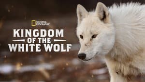 Kingdom of the White Wolf — foto 5