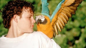The Real Macaw — foto 1