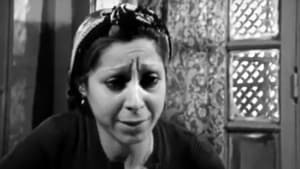 أطفال نوفمبر — foto 11