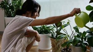 채식주의자 — foto 3