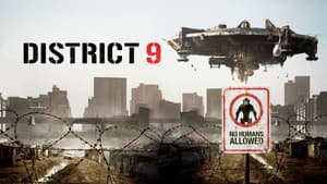 Sector 9 — foto 2