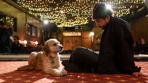 Ramy Youssef: In Love — foto 1