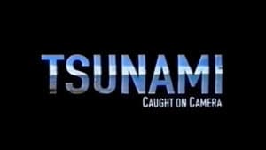 Tsunami: Caught on Camera — foto 3