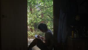 Canary — foto 1