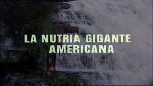 Episodio 11