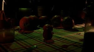 28 Eggs Later — foto 9