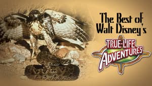 The Best of Walt Disney's True-Life Adventures — foto 2