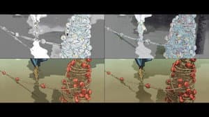 Rebuild of EVANGELION: 3.0+1.11 — foto 3