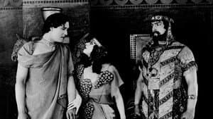 Salome — foto 5