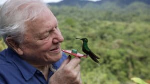 La vida a color con David Attenborough — foto 3