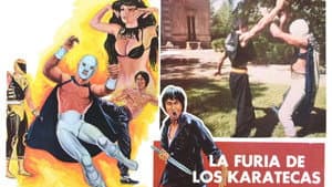 La furia de los karatecas — foto 1