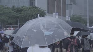 六月 — foto 1