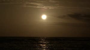 The Sea is History — foto 1