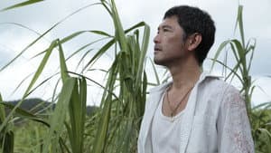 2つ目の窓 — foto 9