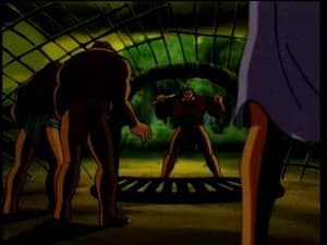 Episodio 13