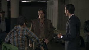 Episodio 20