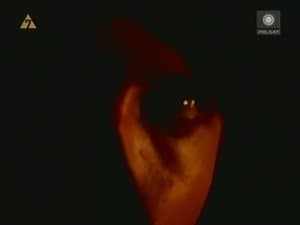Episodio 24