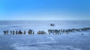 Russlands versteckte Paradiese — foto 3