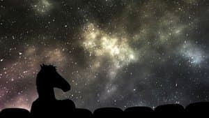 BoJack Horseman — foto 4