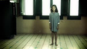 Darrere la finestra — foto 1