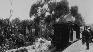 Arrivée du train de Ramleh — foto 1