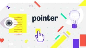 Pointer — foto 1