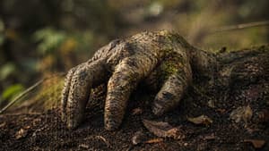 HAST - The Hand — foto 2