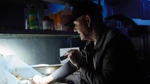 Episodio 7