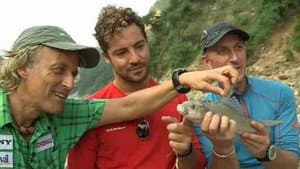 Episodio 6