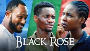 Black Rose — foto 3