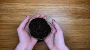 The World in Our Hands — foto 3