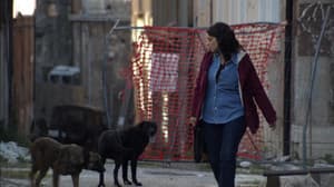 Episodio 3