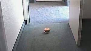 Hamburger Dad — foto 1