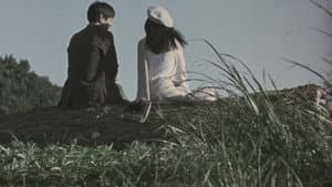トニー滝谷 — foto 6