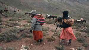 Cholitas — foto 11
