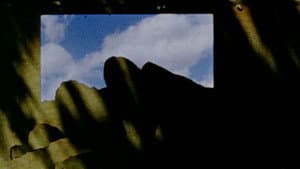 Foregrounds — foto 1
