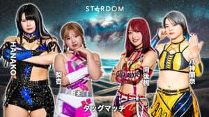 第15回 ゴッデス・オブ・スターダム ～タッグリーグ戦～ in SENDAI — foto 6