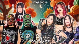 第15回 ゴッデス・オブ・スターダム ～タッグリーグ戦～ in IWAKI — foto 2