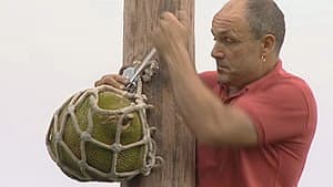 Episodio 13