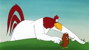 The Leghorn Blows at Midnight — foto 3
