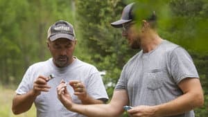 Episodio 7