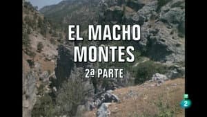 Episodio 12