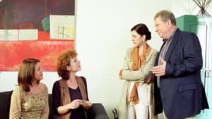 Dr. Sommerfeld - Alte Träume, neue Liebe — foto 1