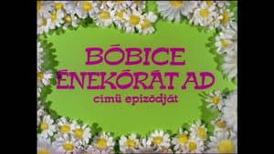 Episodio 13
